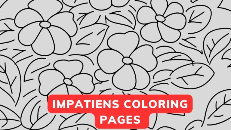 impatiens coloring page