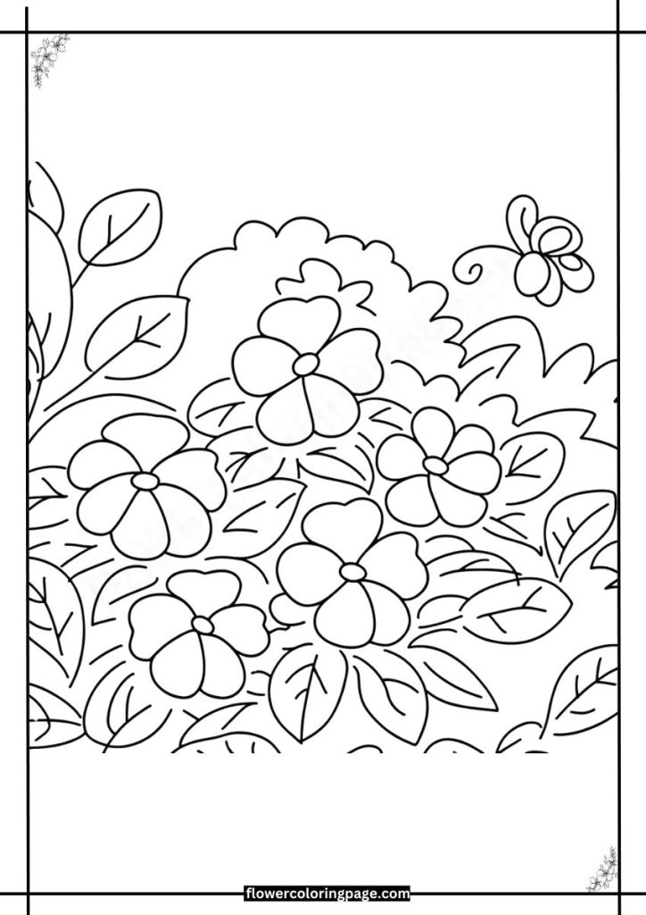 impatiens coloring pages