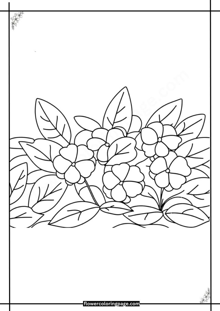 impatiens coloring pages printable