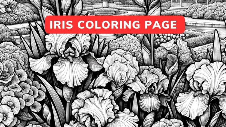 iris Coloring Page