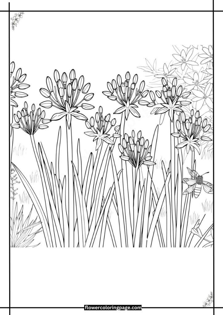 ixia coloring pages free download