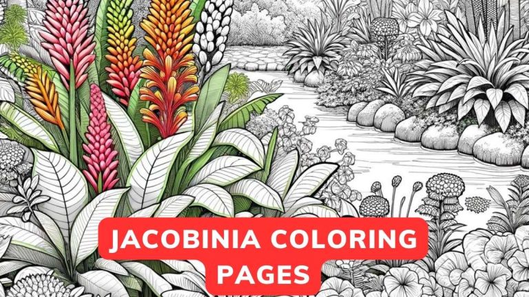 jacobinia coloring page