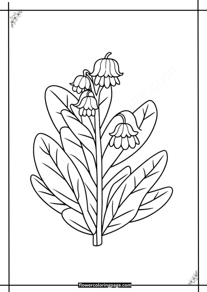 Free Jacobinia Coloring Pages Printable PDF - Flower Coloring Page