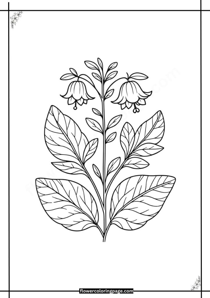 jacobinia coloring pages free download