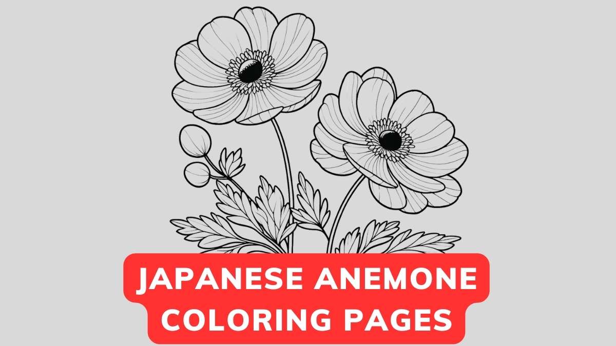 japanese anemone coloring page