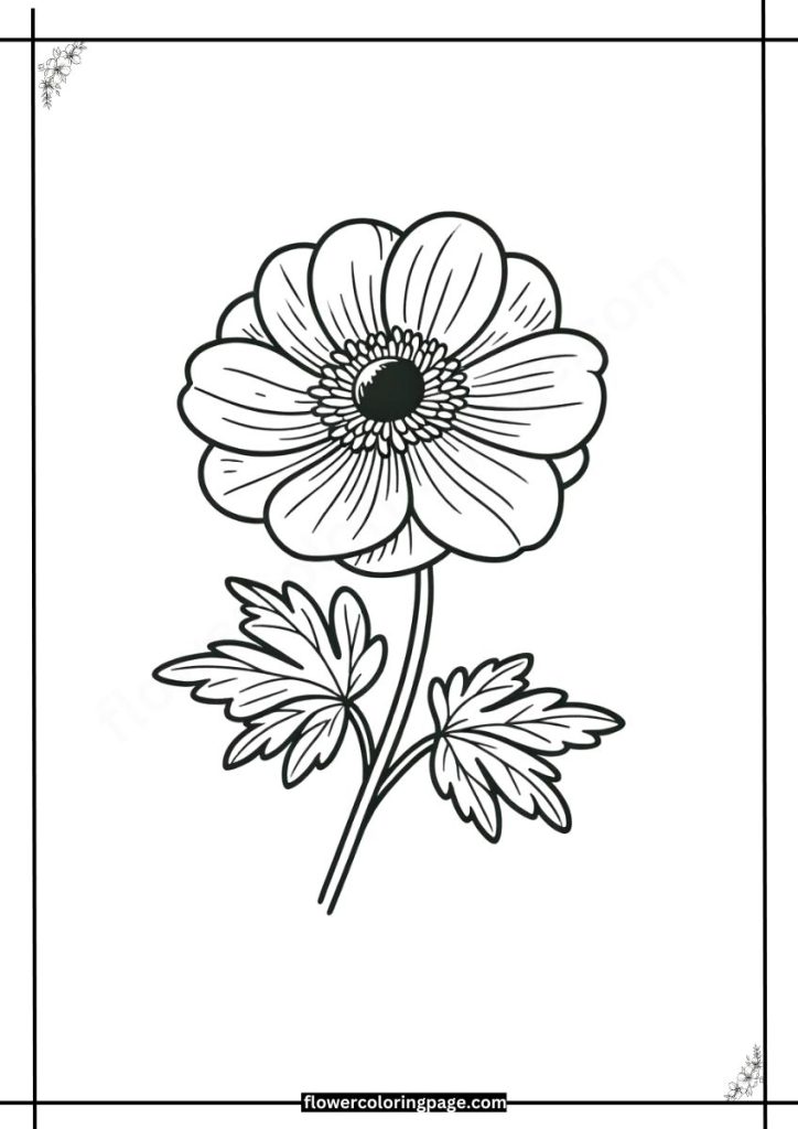 japanese anemone coloring pages