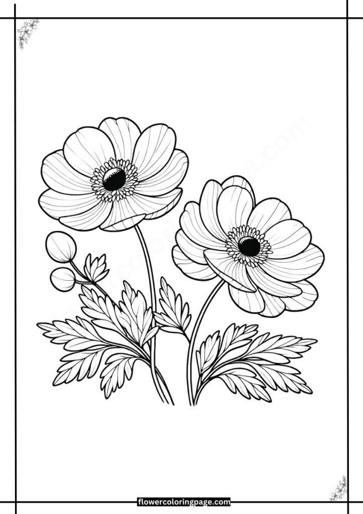 japanese anemone coloring pages free download