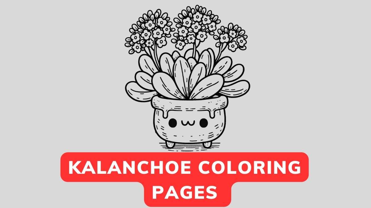 kalanchoe coloring page