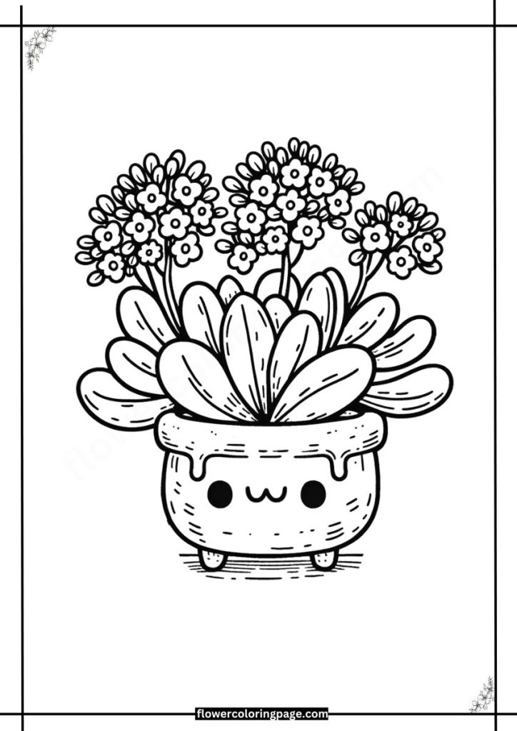 kalanchoe coloring pages