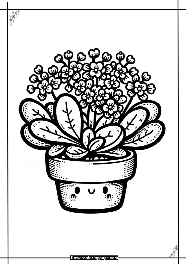 kalanchoe coloring pages printable