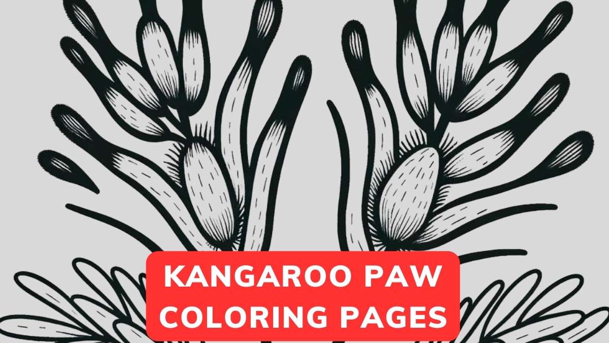 kangaroo paw coloring page