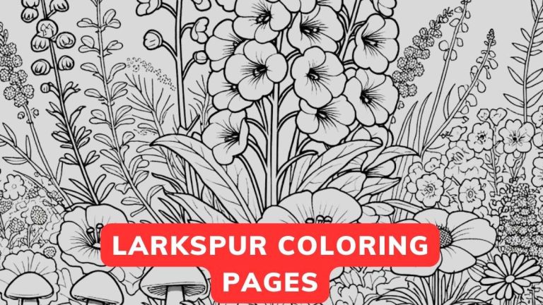 larkspur coloring page