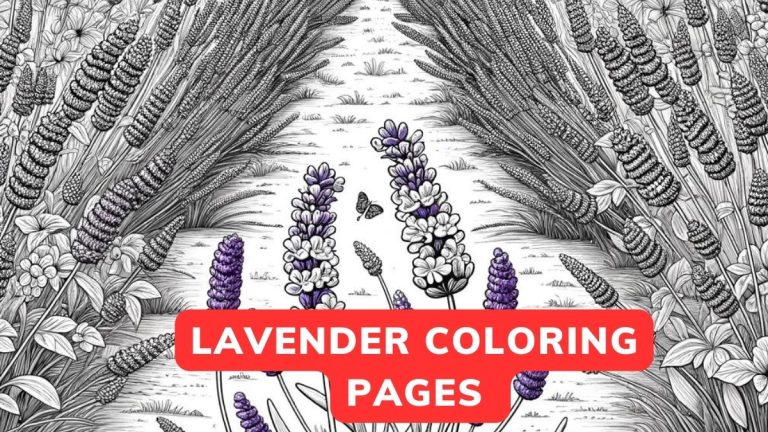 lavender coloring pages