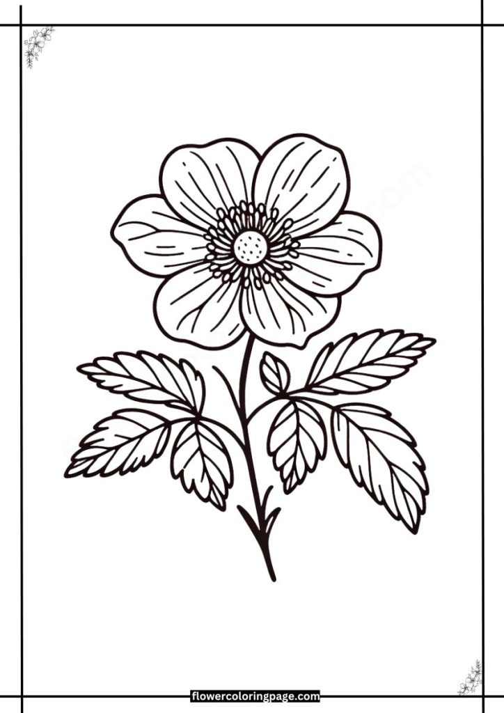 lenten rose coloring pages