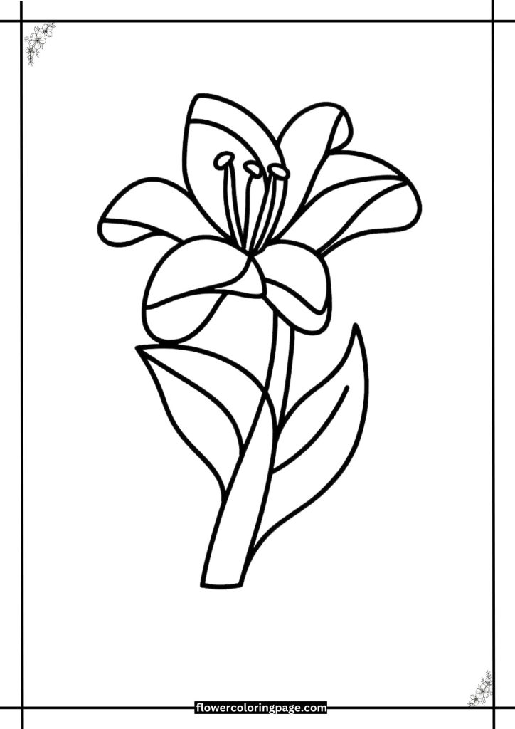 lily coloring page