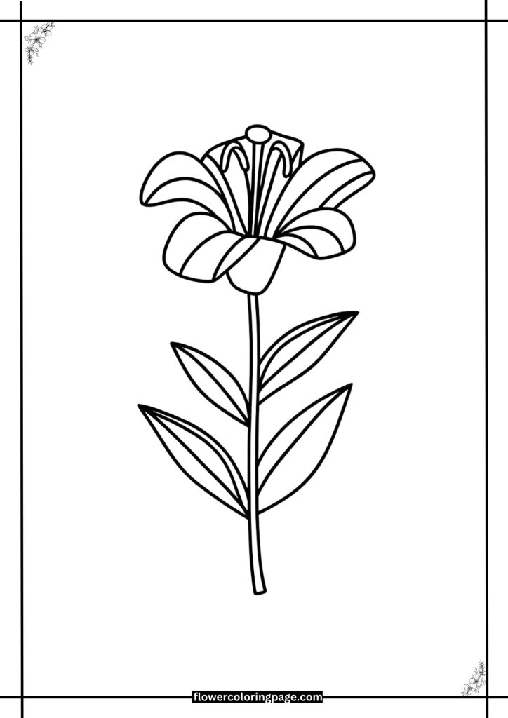 lily coloring pages