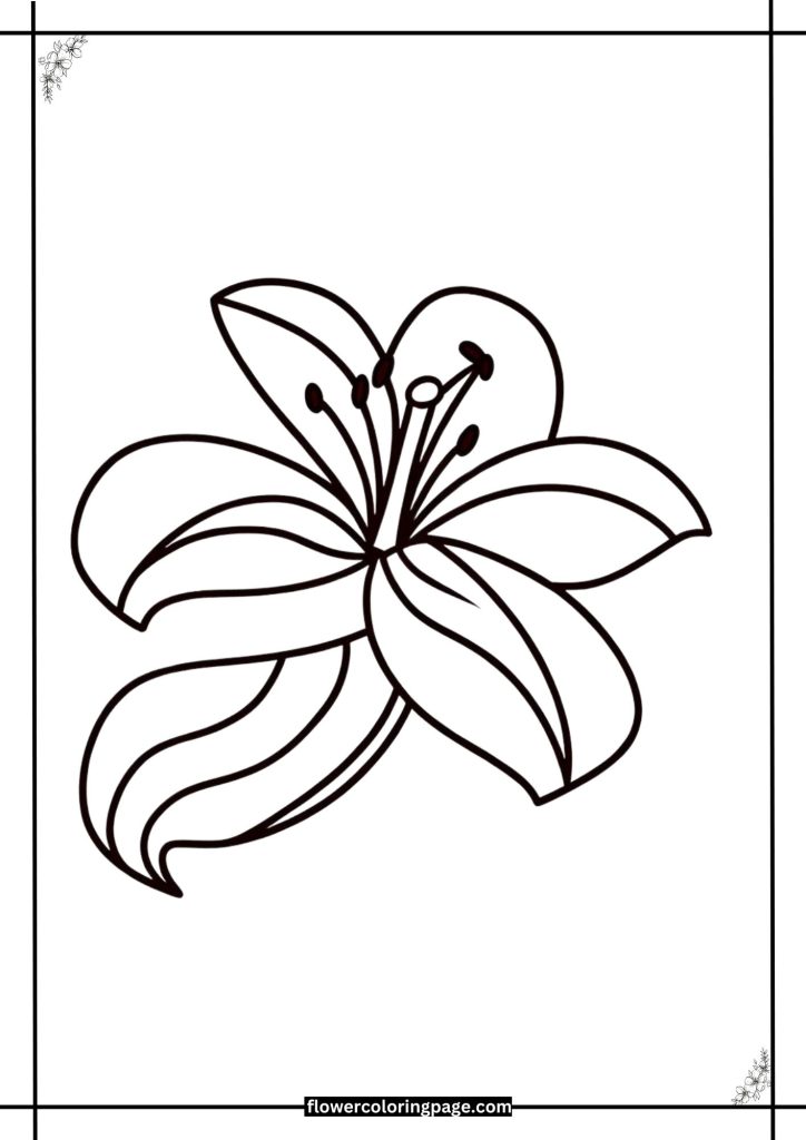 lily coloring pages free