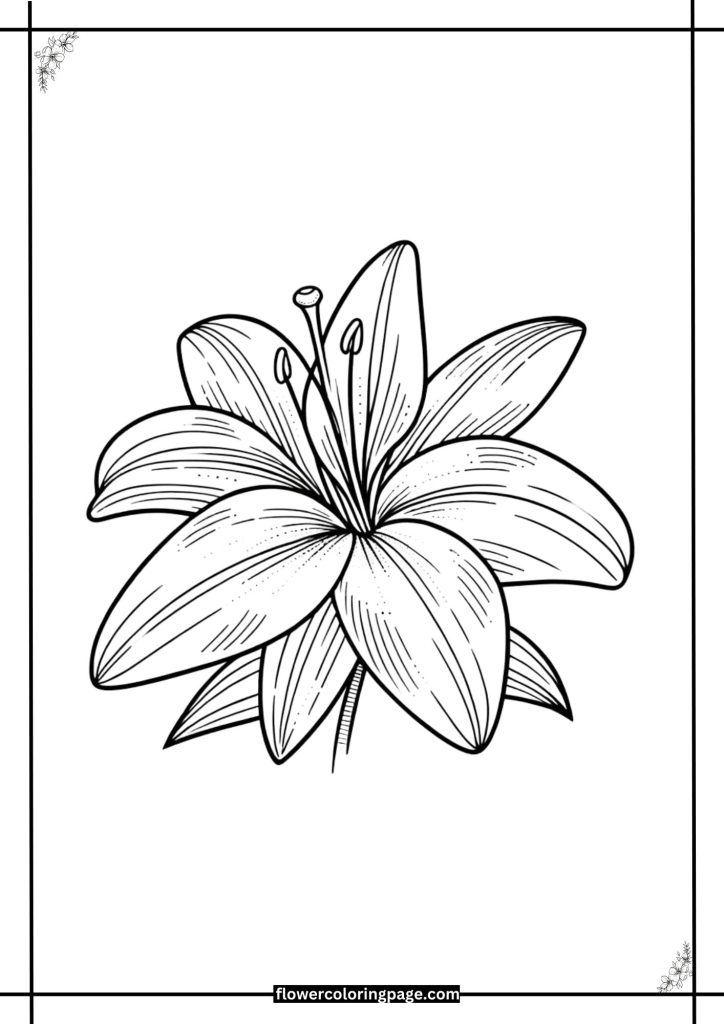 lily coloring pages printable