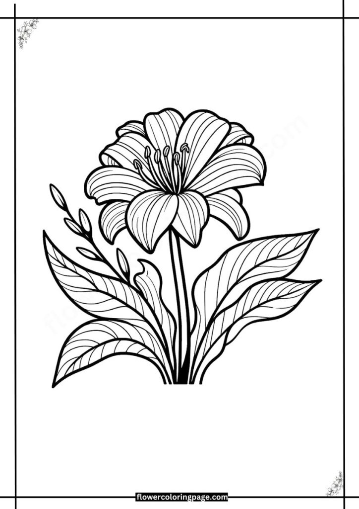 lily of the nile coloring pages printable