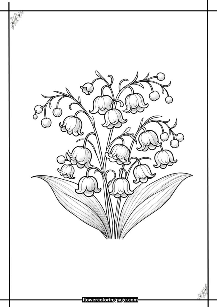 lily of the valley coloring page