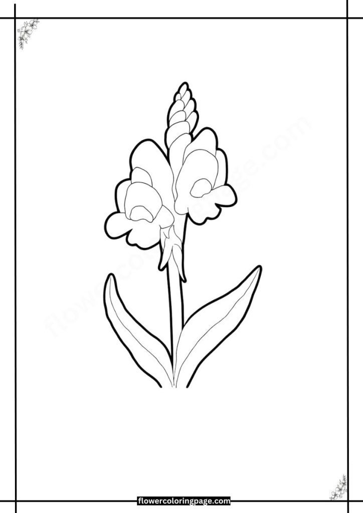 linaria coloring pages free download