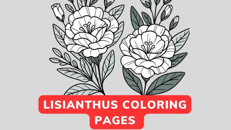 lisianthus coloring page