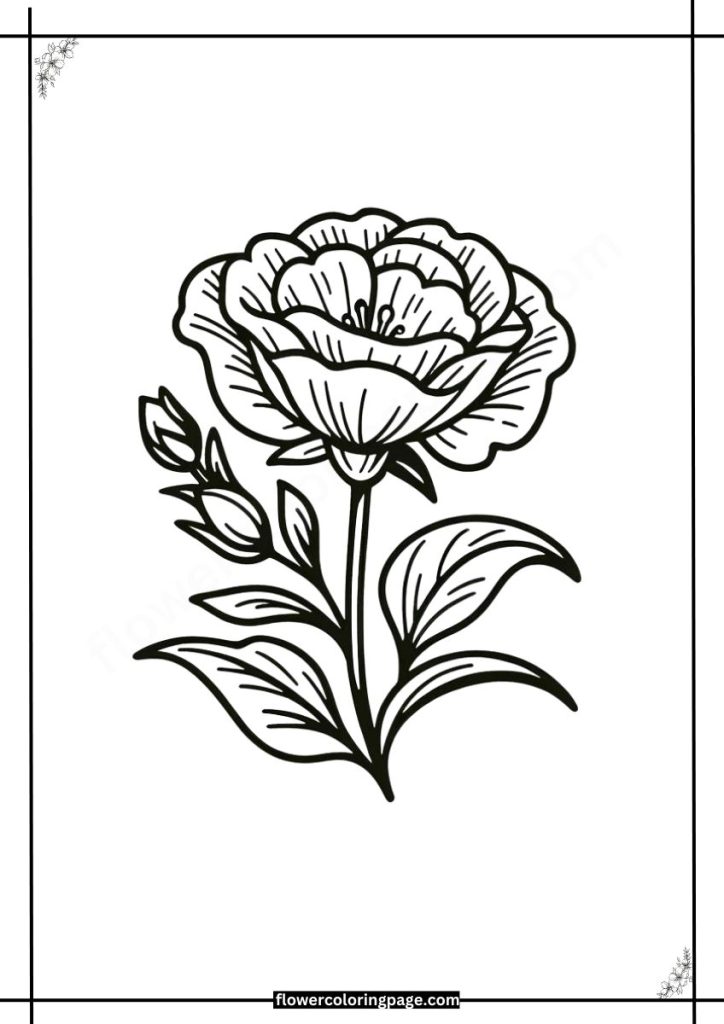 lisianthus coloring pages