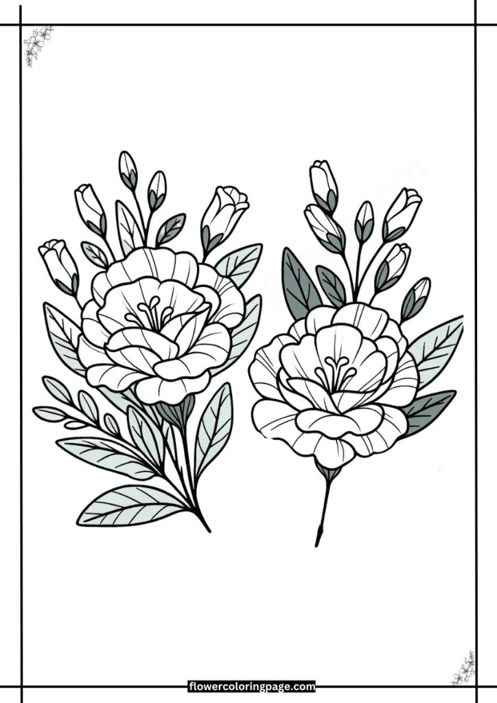 lisianthus coloring pages pdf