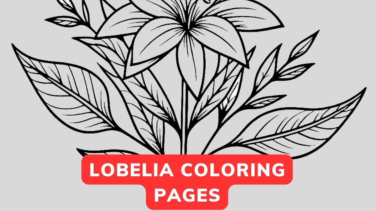 lobelia coloring page