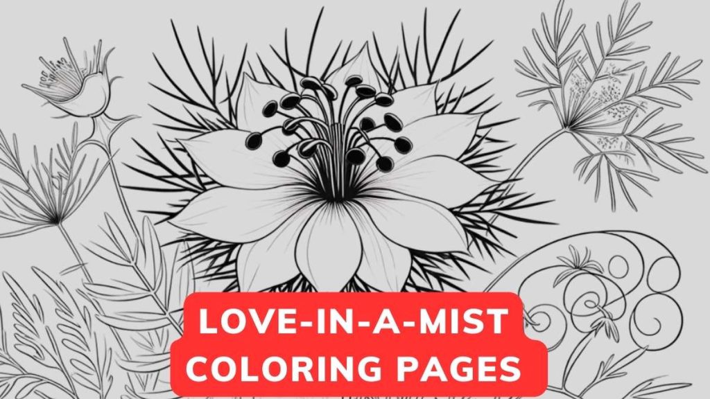 Free LoveinaMist Coloring Pages Printable PDF Flower Coloring Page