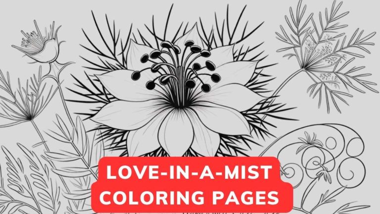 love-in-a-mist coloring page