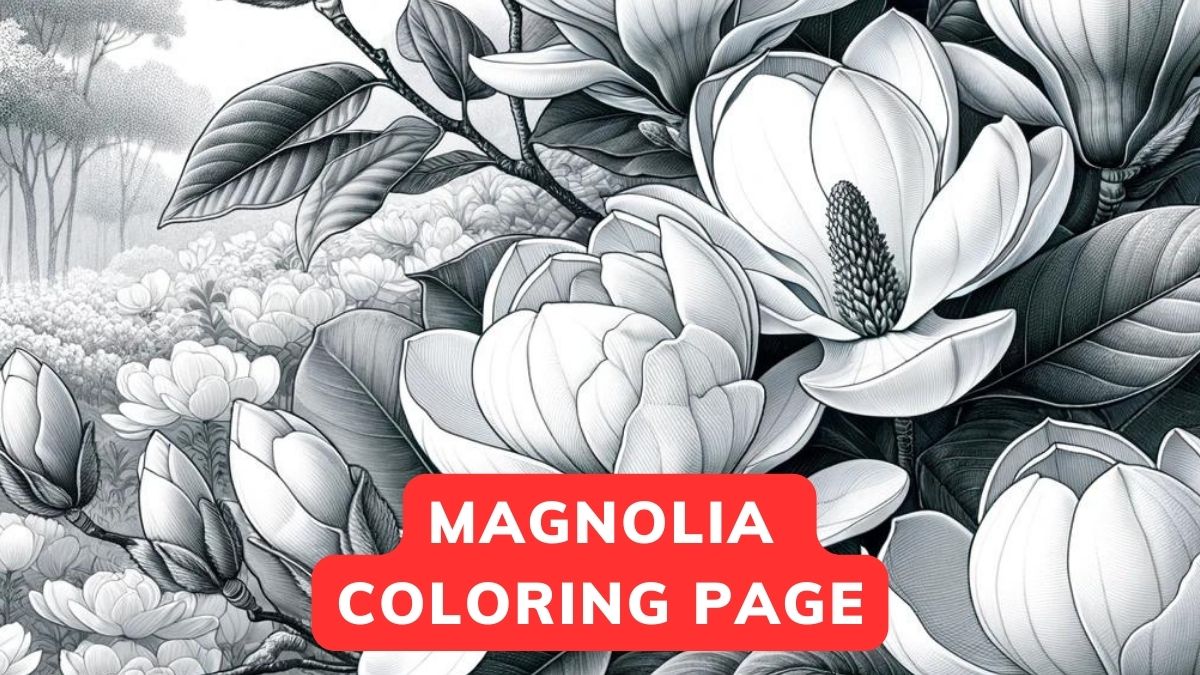 magnolia coloring page