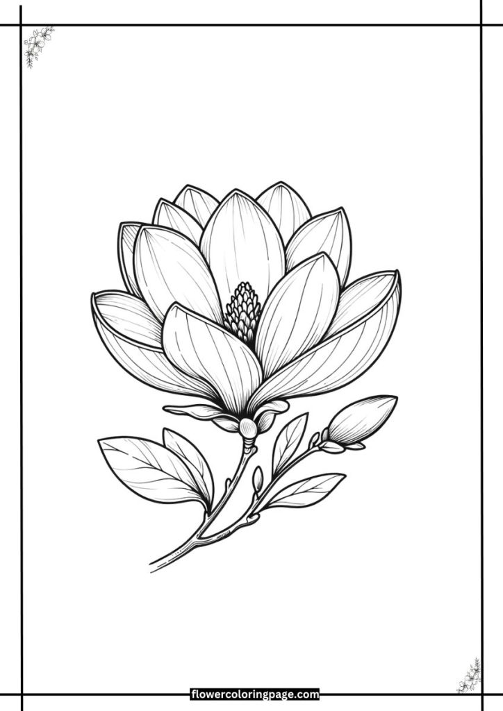 magnolia coloring pages