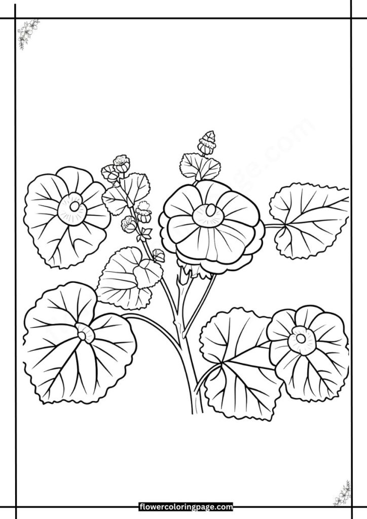 malva coloring pages