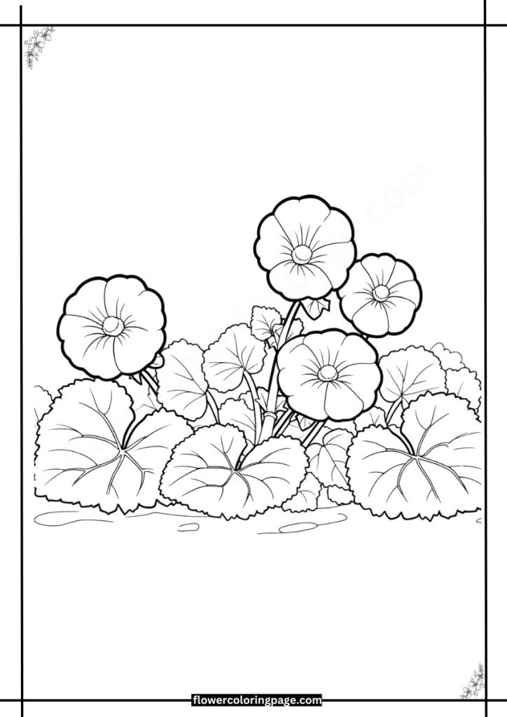 malva coloring pages printable