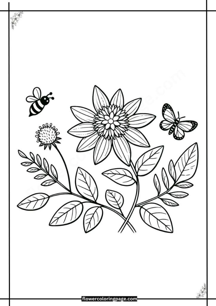 melampodium coloring pages