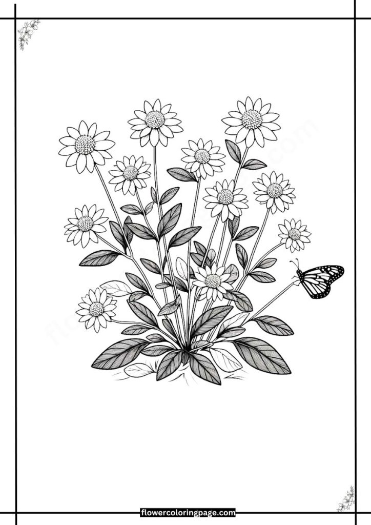 melampodium coloring pages printable