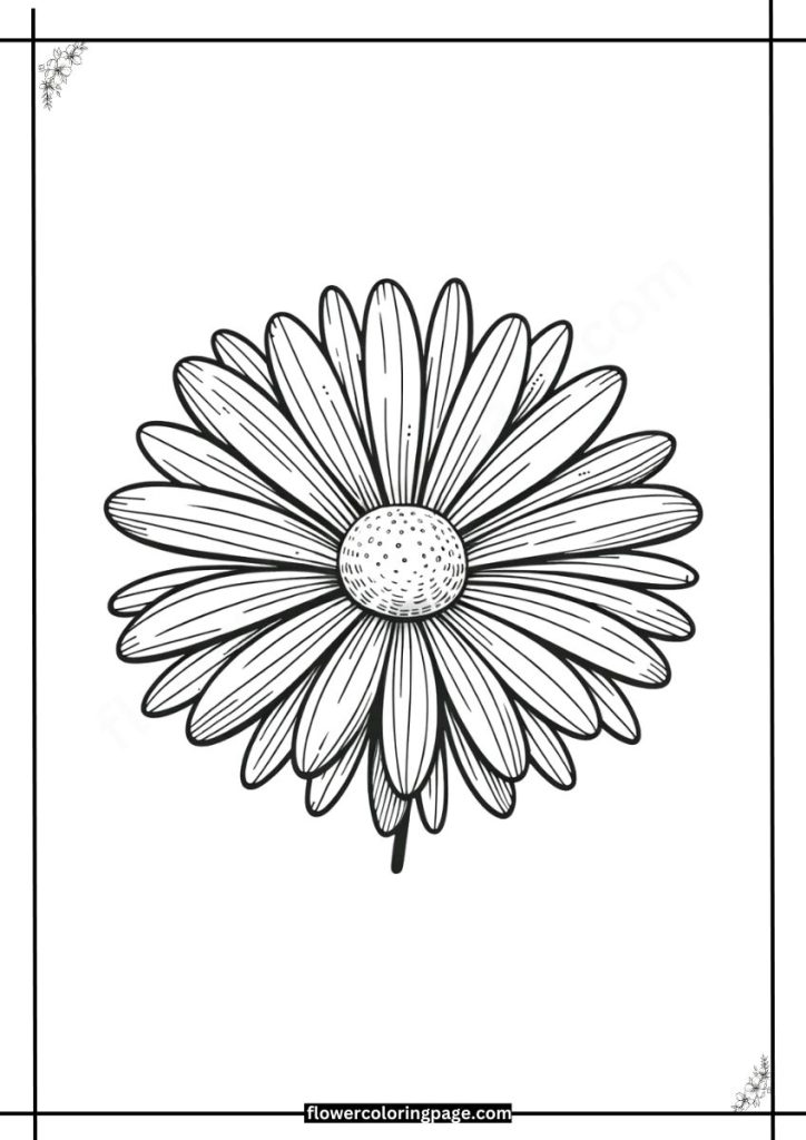 michaelmas daisy coloring pages