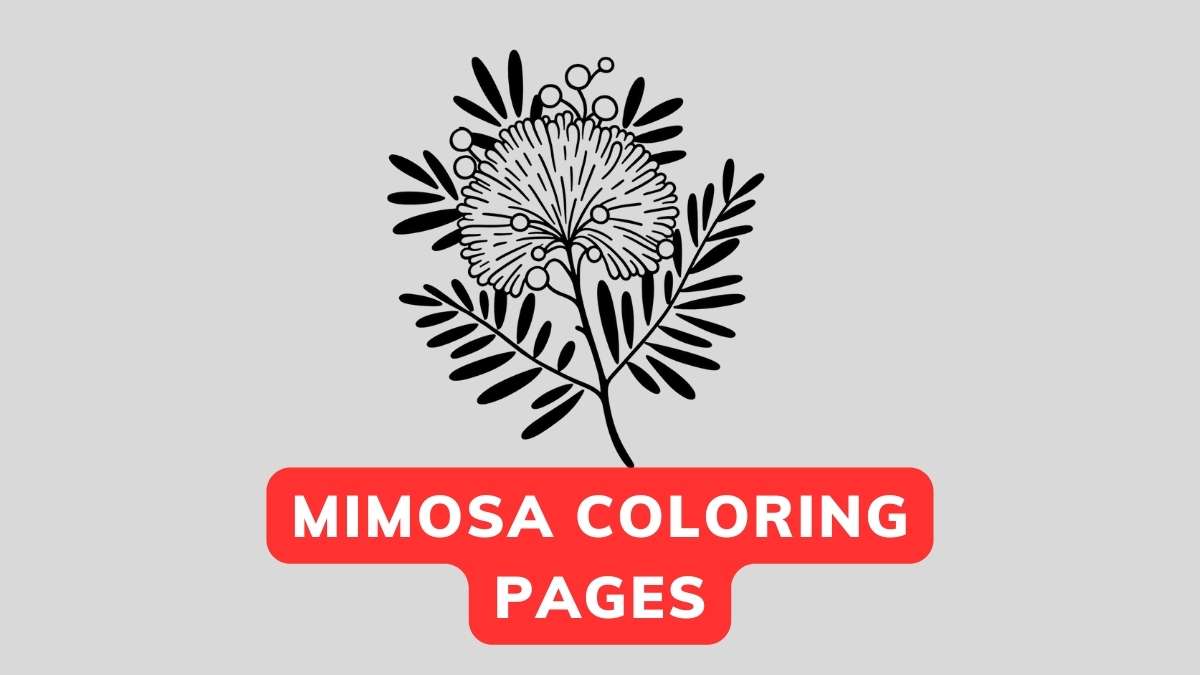 mimosa coloring page