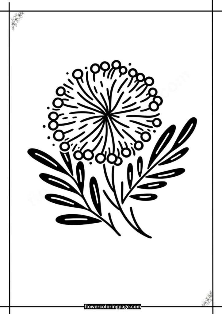 mimosa coloring pages free download