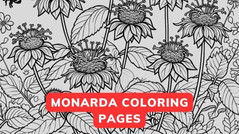 monarda coloring page