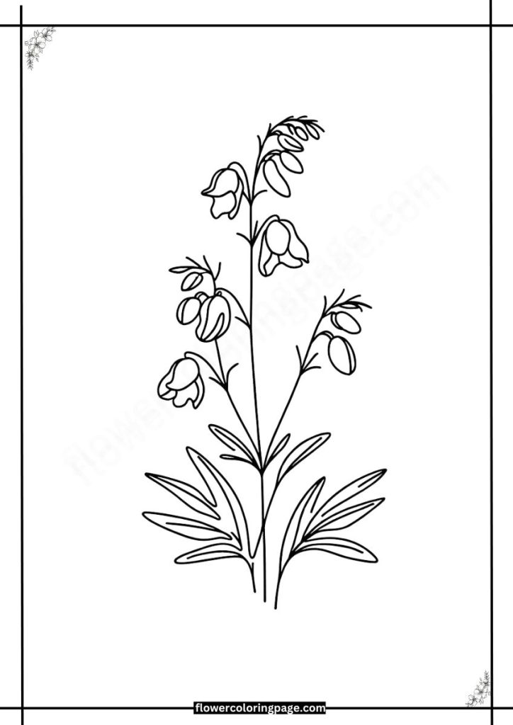 monkshood coloring pages