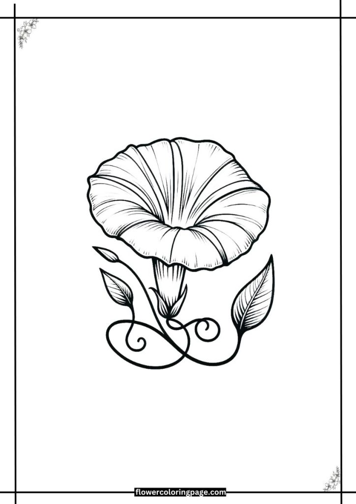 morning glory flower coloring page