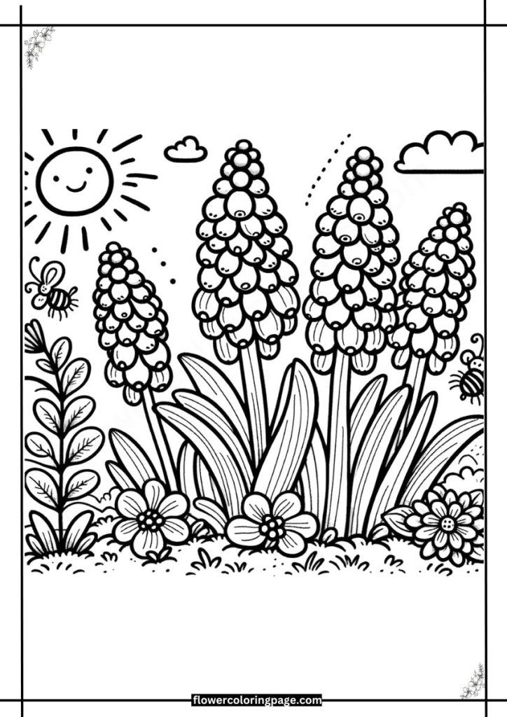 muscari coloring pages printable