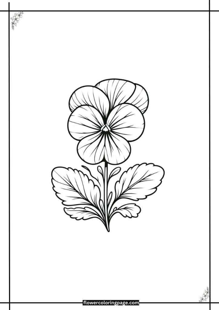 pansy flower coloring page