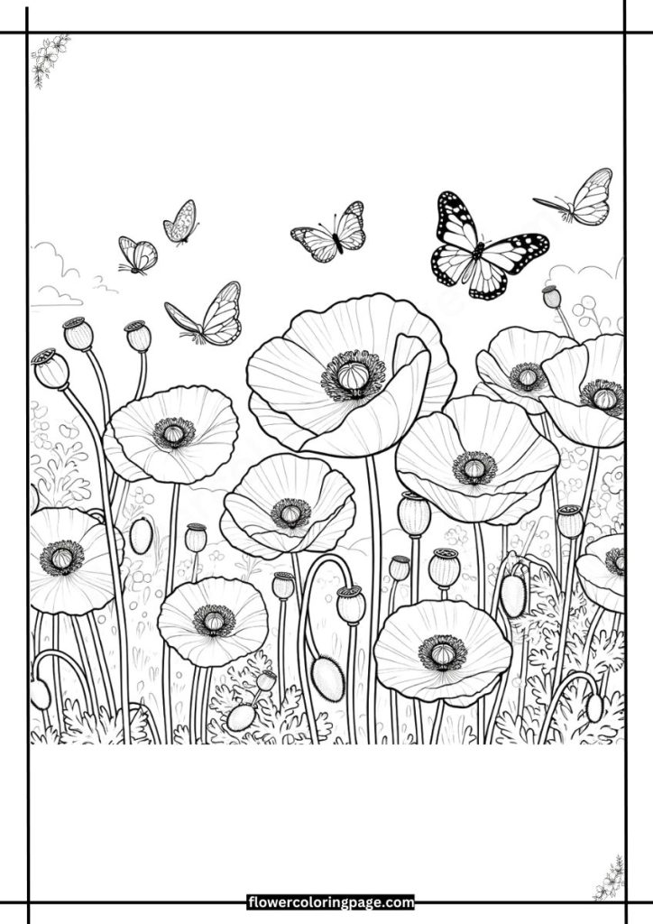 papaver coloring pages printable free