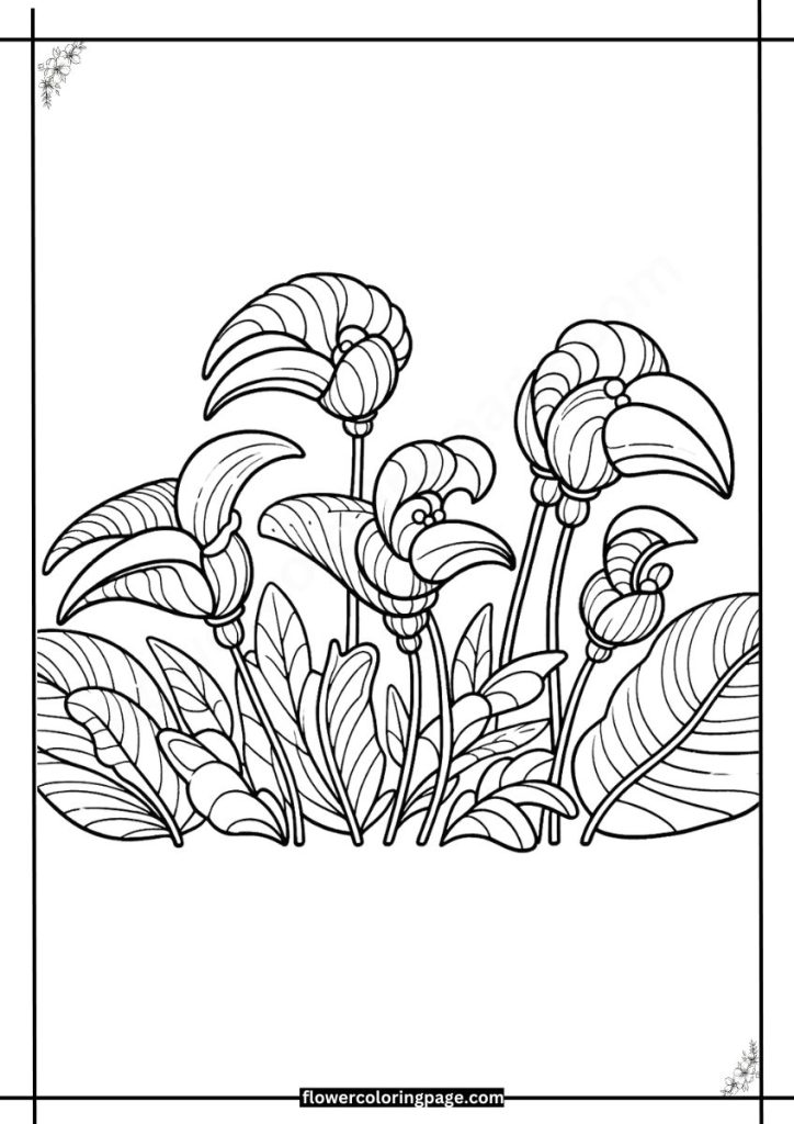 parrot's beak flower coloring pages