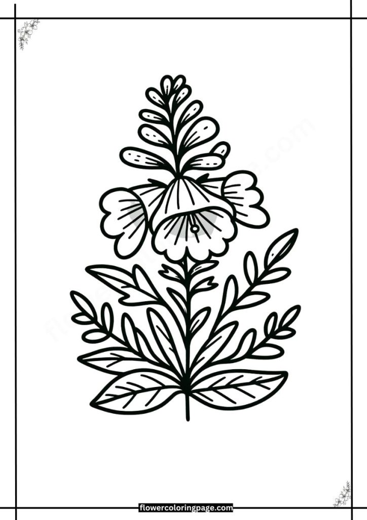 penstemon coloring pages free