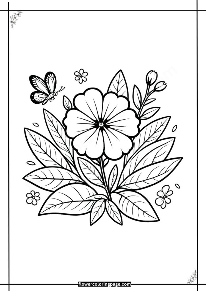 phlox coloring page