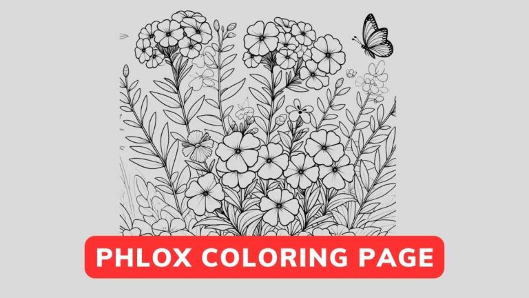 phlox coloring pages